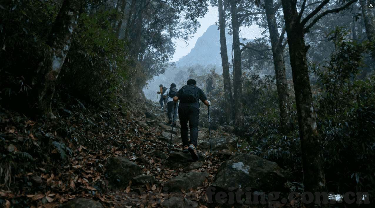 龙马大厅炸金花作弊器-警惕网络赌博中的欺诈行为，以龙马大厅炸金花作弊器为例